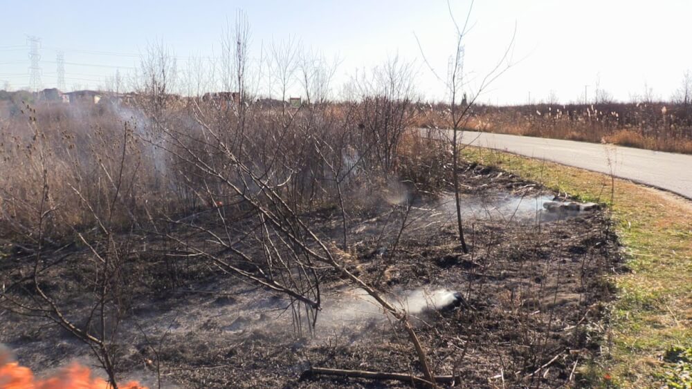 brush fire at 135th and Wolf Road. Photo courtesy of the Orland Fire Protection District