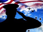 Lyons Township Democrats salute all American Veterans on November 11