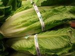 E. Coli Outbreak Possibly Linked to Romaine Lettuce