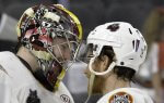 Chicago Wolves thrash the Rockford IceHogs