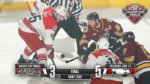 Wolves lose Game 4 of Calder Cup Finals. Photo courtesy of the Wolves