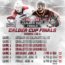 Wolves lose 3rd game in Calder Cup Finals - Suburban Chicagoland