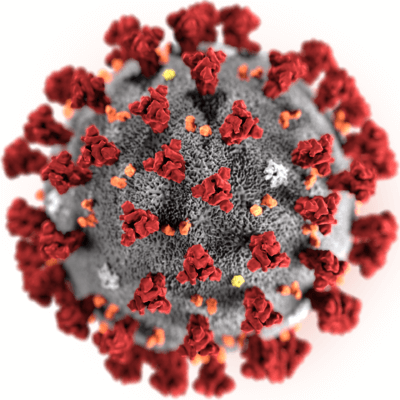 Corona Virus courtesy of Wikipedia