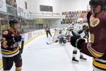 Chicago Wolves Rally to take forth straight win