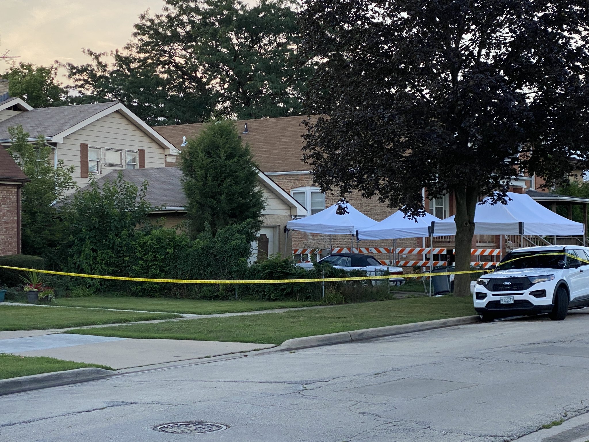 Lyons brothers released Monday pending investigation in backyard