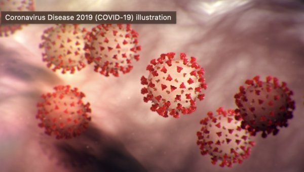 COVID virus courtesy of the CDC