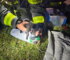 Firefighters with the Orland Fire Protection District who responded to a fire in an apartment at 15200 block of Al Camino Terrace on Saturday morning said the next day that they did find a kitten that needed respiratory aid that they saved.