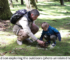 Father and child Leving photo